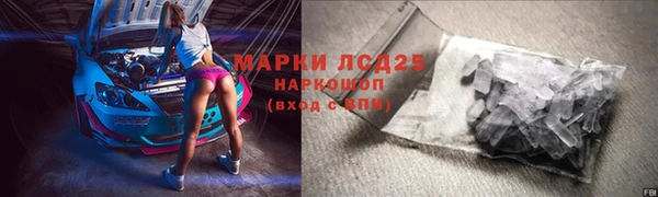 гашик Козельск