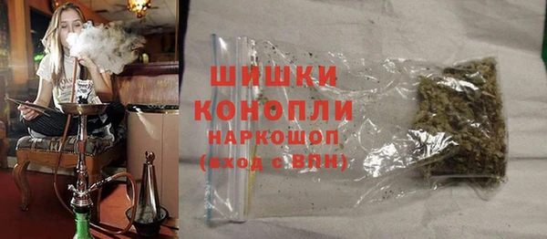 гашик Алзамай