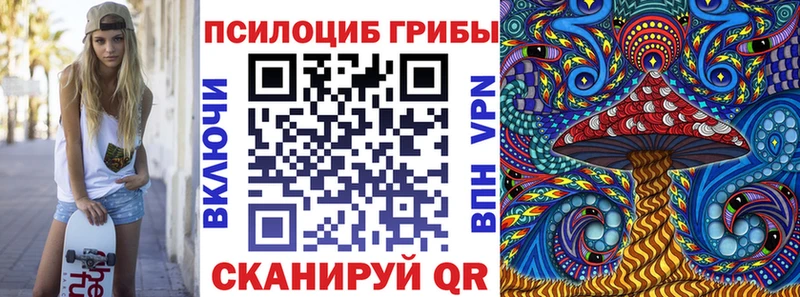 Псилоцибиновые грибы Psilocybe  дарнет шоп  Островной 